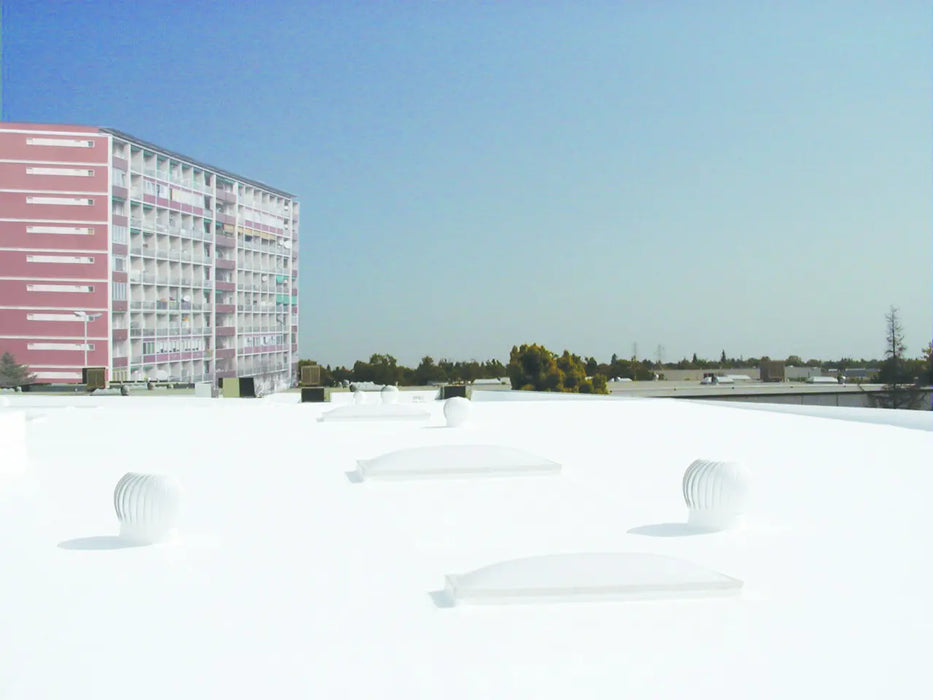 Wingum PLUS H2O - 5 Kg Bianco | Prodotto Originale - Foto 6